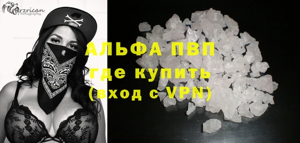 молекула духа Белоозёрский
