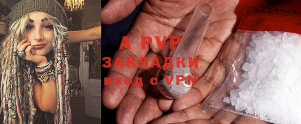 PSILOCYBIN Баксан